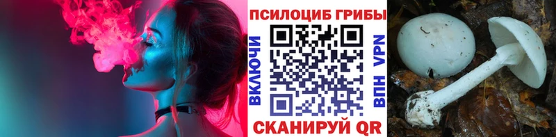 Галлюциногенные грибы мухоморы  Губаха 
