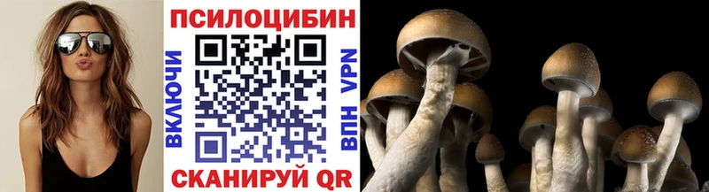Галлюциногенные грибы ЛСД Губаха